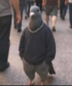 1000009130.jpg 1000009130.jpg