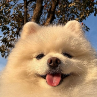 MrMarkyyyy